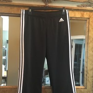 Adidas Jogging Pant
